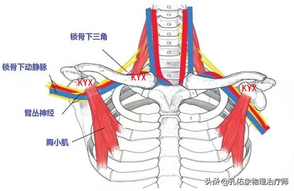 手指發脹、僵硬、握不攏，是風溼嗎？不出意外，這4種可能性較大