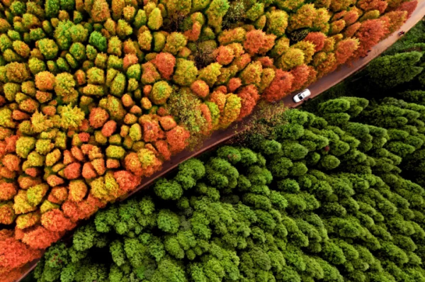 有生之年走遍祖國34省區最美天堂，不枉此生