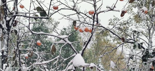 2021年的第一場雪 2021年的第一場雪