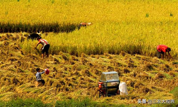 天氣預報:中秋節下雨,好不好?中秋之後會變天嗎? 天氣預報:中秋節下雨,好不好?中秋之後會變天嗎?