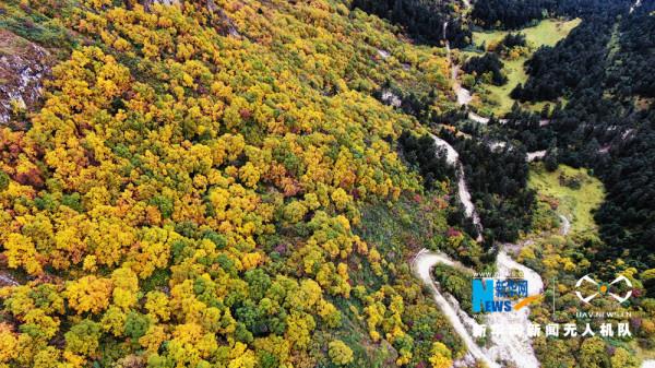 斑斕如畫官鵝溝