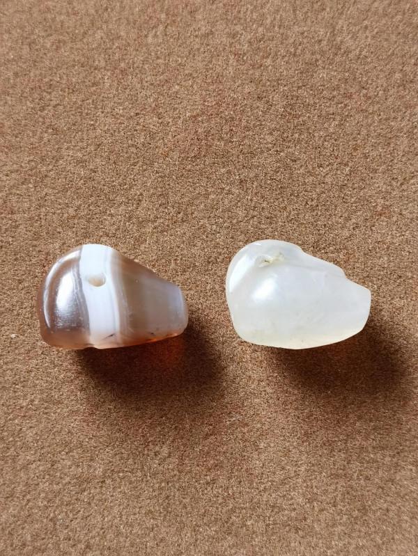 鴨子，身披落霞飛到尋常百姓家