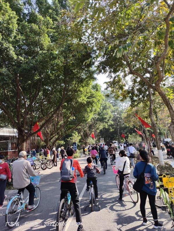 大夫山森林公園 大夫山森林公園