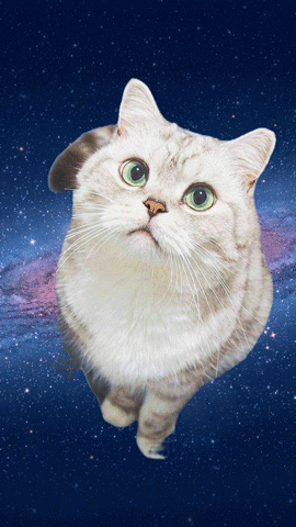 歡聚時代AI跨平臺推理框架VNN正式開源