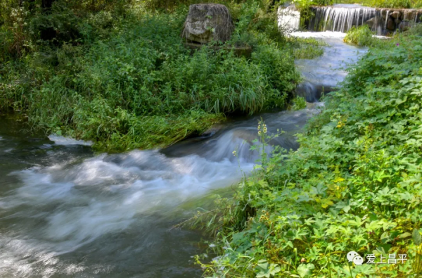北京有個風景秀美的村莊,溪流疊水,野花遍地,現在去正好 北京有個風景秀美的村莊,溪流疊水,野花遍地,現在去正好