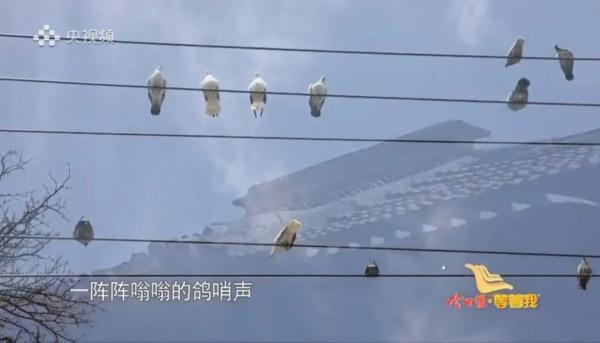 感謝你,成為了我的“家人”...... 感謝你,成為了我的“家人”......