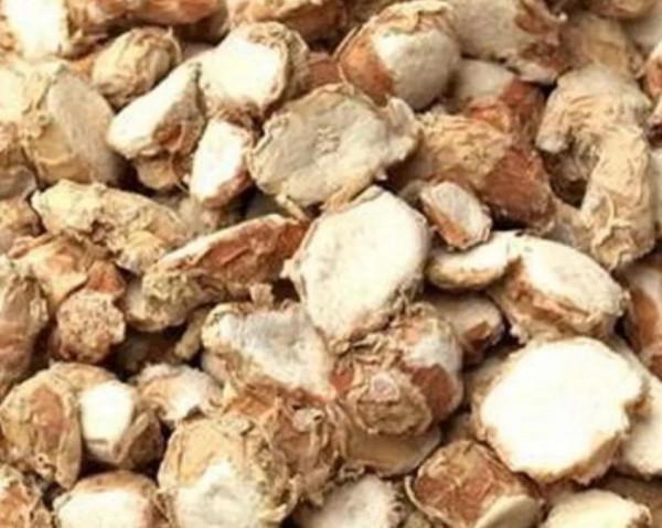 冬釣不偷懶，上魚才能多，揭穿釣魚大爺冬季釣魚多的秘密