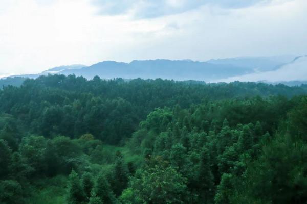 冬日暖陽,迴歸北緯29°康旅小鎮,吃刨豬湯、烤全羊逛大集辦年貨 冬日暖陽,迴歸北緯29°康旅小鎮,吃刨豬湯、烤全羊逛大集辦年貨