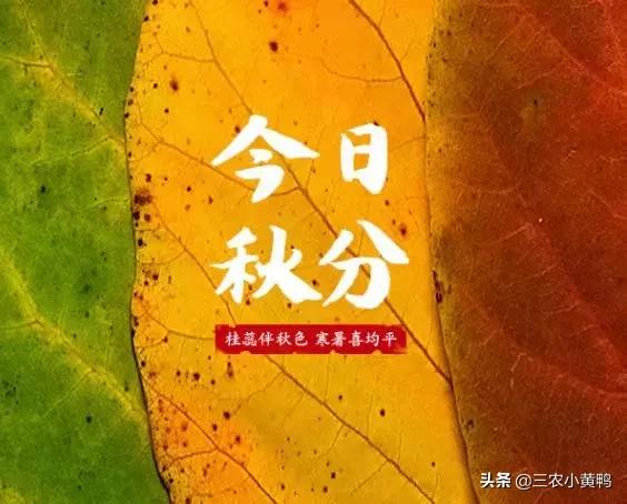 天氣預報:今日秋分,下雨天氣有什麼說法?看看老祖宗怎麼說? 天氣預報:今日秋分,下雨天氣有什麼說法?看看老祖宗怎麼說?