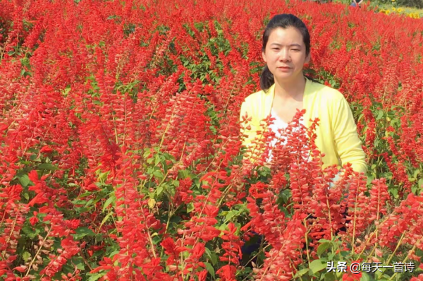 民間力量，中國實力詩人，湖南詩人：雲夢