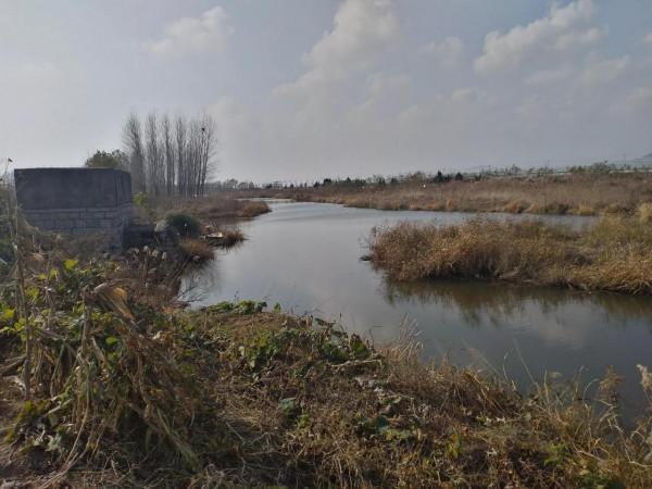 村裡最後的光棍