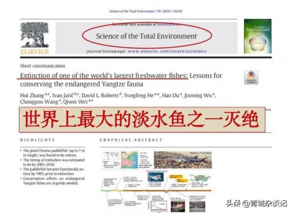 長江禁漁十年,裡面的魚如今變成什麼樣了?期間漁民們何以為生? 長江禁漁十年,裡面的魚如今變成什麼樣了?期間漁民們何以為生?