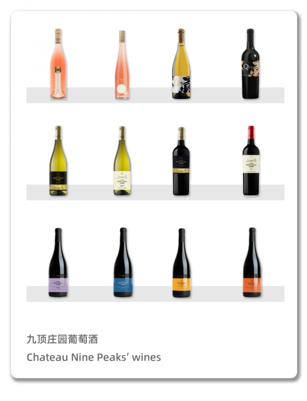 大美風土——探尋中國葡萄酒家園之九頂莊園