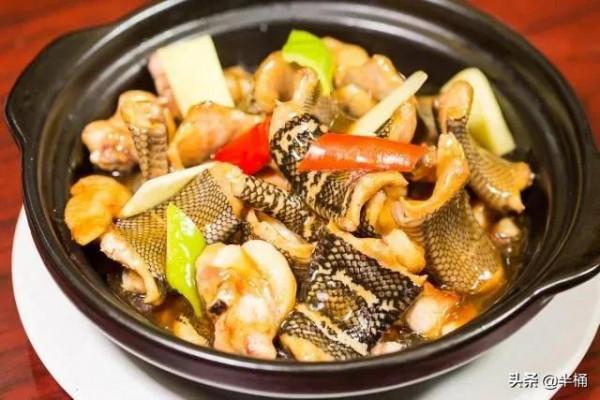 毒蛇咬過的雞更美味?以前流行的“蛇咬雞”,為什麼被叫停了? 毒蛇咬過的雞更美味?以前流行的“蛇咬雞”,為什麼被叫停了?