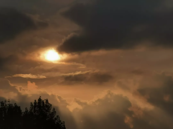 在中庸之道中追尋自由