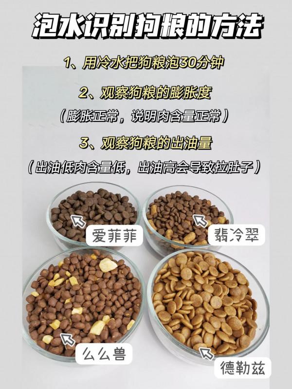 能用一輩子的方法，這麼簡單就能識別“毒”狗糧