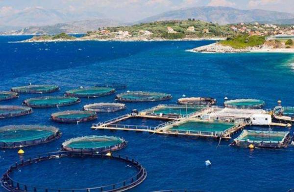 南極冰川融化，科學家發現了意外的東西，問題有多嚴重？