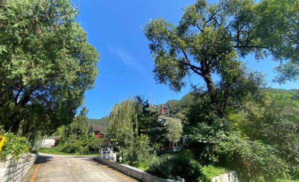 門頭溝 西峰寺懷古之一-西峰寺緣起