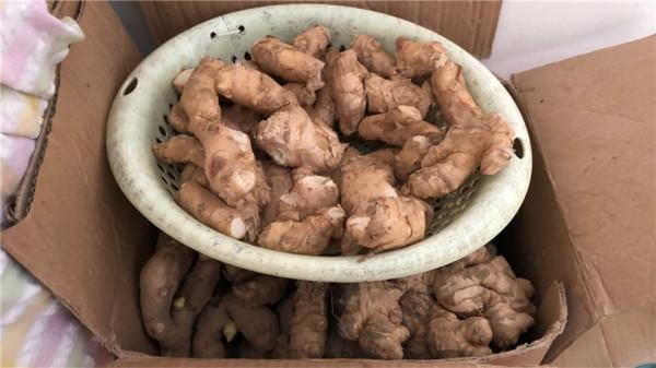 曬曬我婆婆家的囤貨,一應俱全,半年不出門都餓不著,網友:羨慕 曬曬我婆婆家的囤貨,一應俱全,半年不出門都餓不著,網友:羨慕