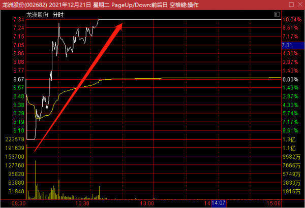12-21覆盤策略：下一個順控發展，明天停牌的話接力機會又來了