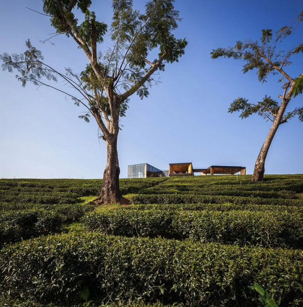 大山裡的茶吧咖啡館 大山裡的茶吧咖啡館