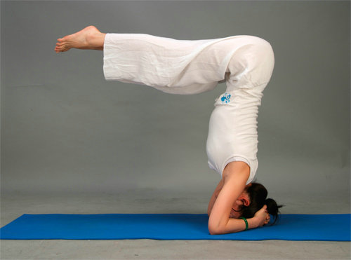 倒立緩解靜脈曲張還有助於增強記憶力 但時間不宜過長 倒立緩解靜脈曲張還有助於增強記憶力 但時間不宜過長