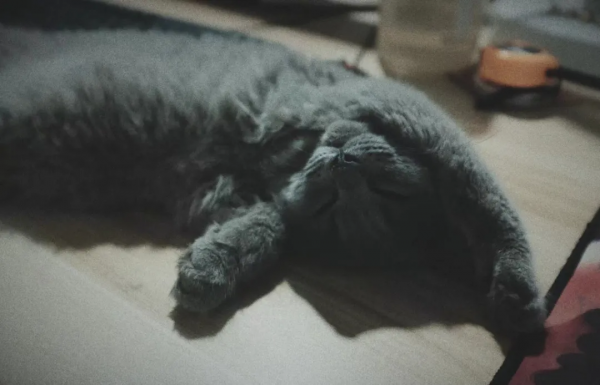 自省、自律,遇見自己 自省、自律,遇見自己