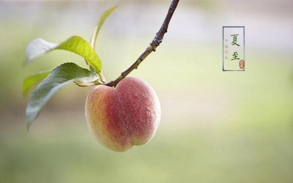 散文:夏至如約而至 散文:夏至如約而至
