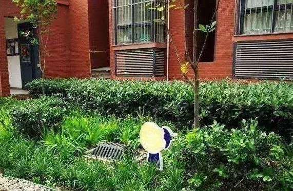 贈送的花園變成了公共綠地，購房者狀告開發商，為何輸了官司？