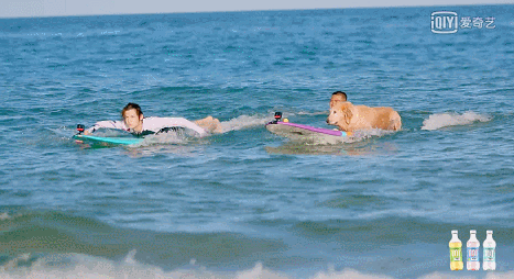 高鐵0.5h、物價只有一半，我願稱她為三亞最強備胎