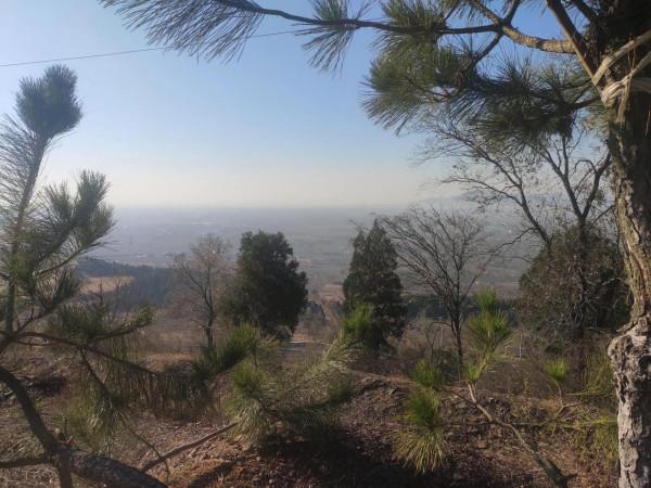 近代衰弱的中國依然保住了龐大的領土，奠定了今天民族復興的基礎