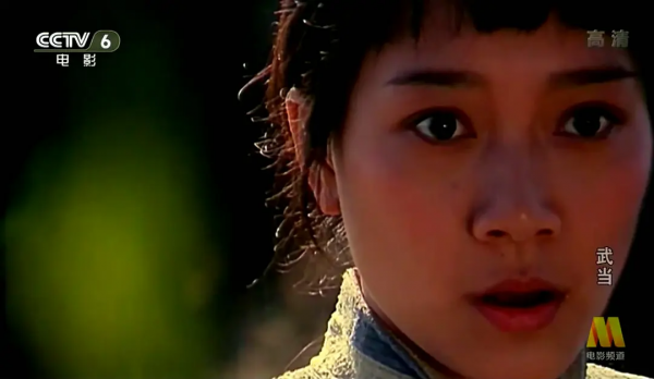 甄子丹&OpenCurlyDoubleQuote;師父&rdquo;主演，武打不輸《少林寺》，演員都有真功夫