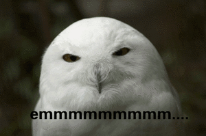 手機如果進行革新,你會想要什麼樣的變化和功能? 手機如果進行革新,你會想要什麼樣的變化和功能?