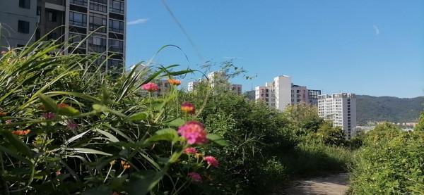 雲彩下的山城系列（四）