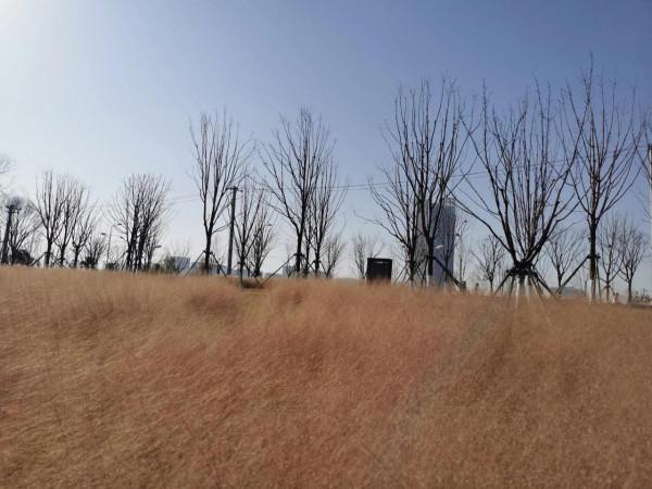 東郊新晉網紅公園，和灞河東路一起稱霸朋友圈