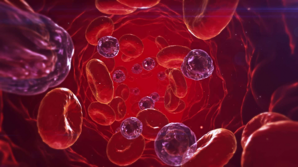 轉氨酶升高該怎麼辦？身體會有哪些症狀？肝損傷的朋友來聽醫生說