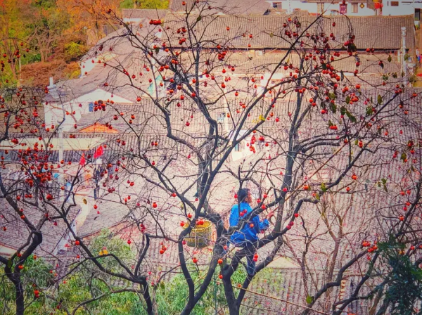 12月必去的7個古鎮,每一個都美到不想離開,閒了就去小住幾日吧 12月必去的7個古鎮,每一個都美到不想離開,閒了就去小住幾日吧