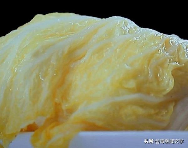 酸白菜豬肉燉粉條，做起來簡單又好吃