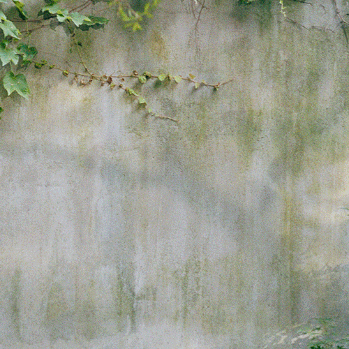 OMG | 楊紫的朋友圈，也太有趣了