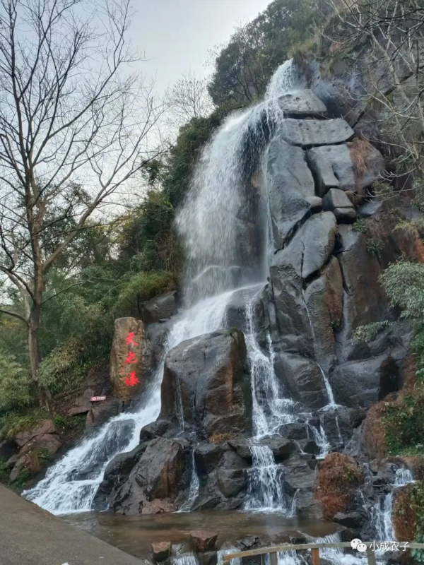 十二月十二日宿九華憶太白