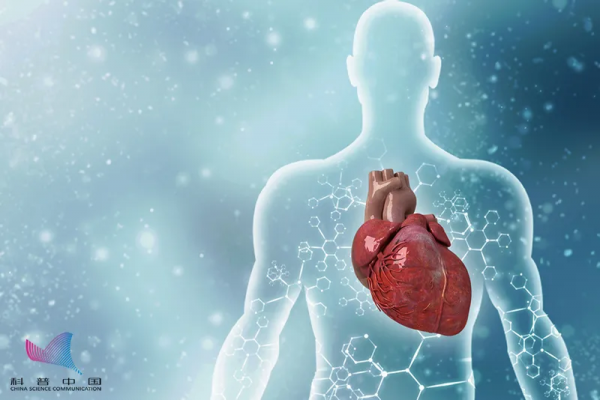 男子洗個牙,竟導致感染性心內膜炎!這幾類人務必要警惕 男子洗個牙,竟導致感染性心內膜炎!這幾類人務必要警惕