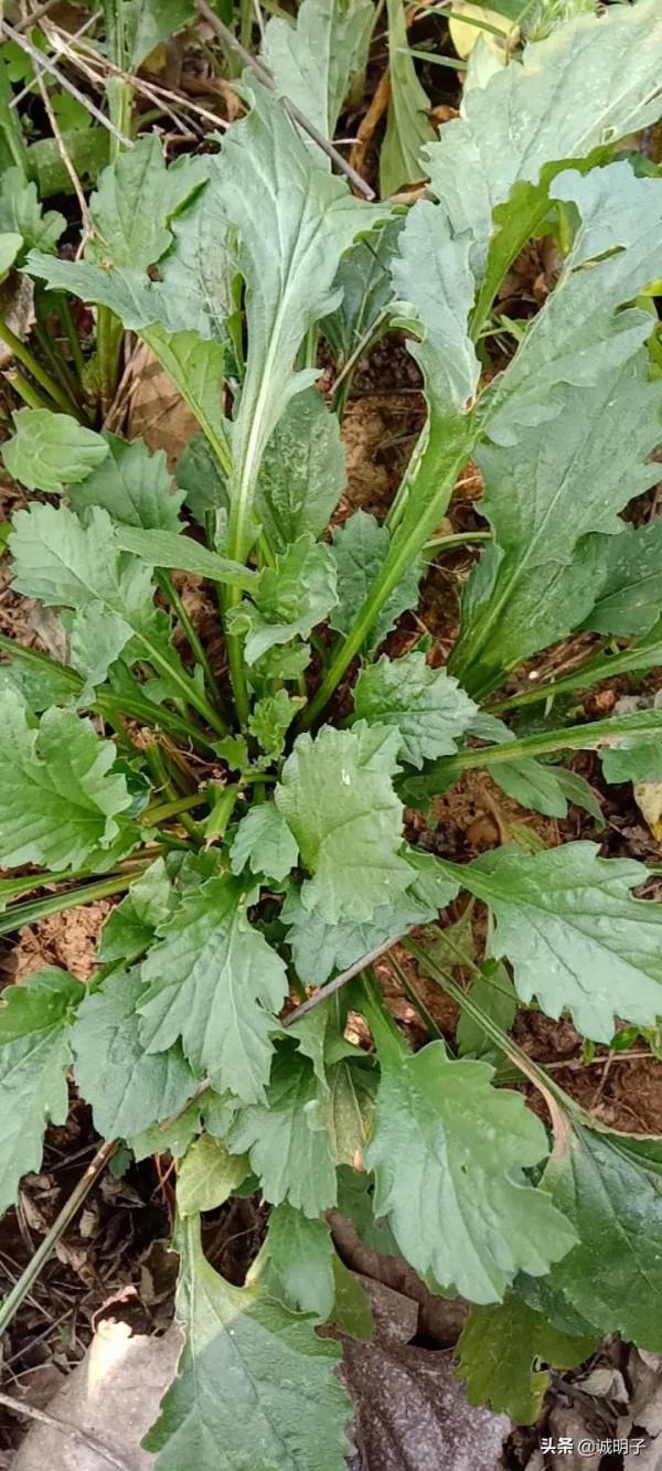 健康需要從一點一滴修養心性做起