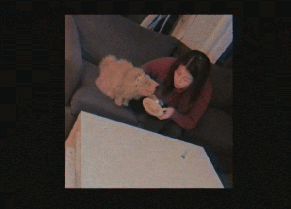 大二女生休學半年千里尋貓：無論如何，也要找到你