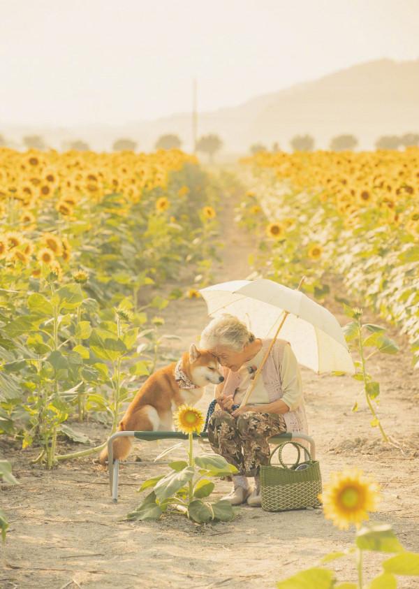 你有多久沒有回家看看了