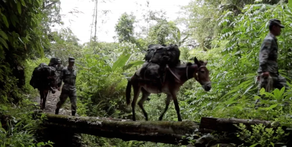 “老班長，這應該是我軍旅生涯最後一次來看你……”老兵們的告別，看哭了……