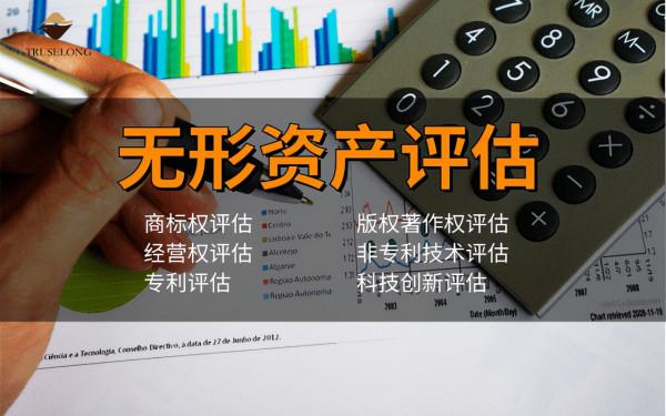 智隆：無形資產評估主要包括哪些？