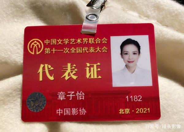 熒幕前是明星，熒幕後是幹部，5位深藏不露的演員，都身居高位