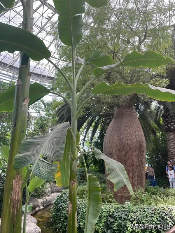 京城遛娃好去處，價格、硬體、軟體彙總，冬季遛娃好輕鬆