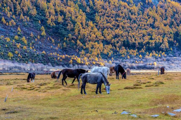 國家地理精選此生必去的十個地方，一定要收藏