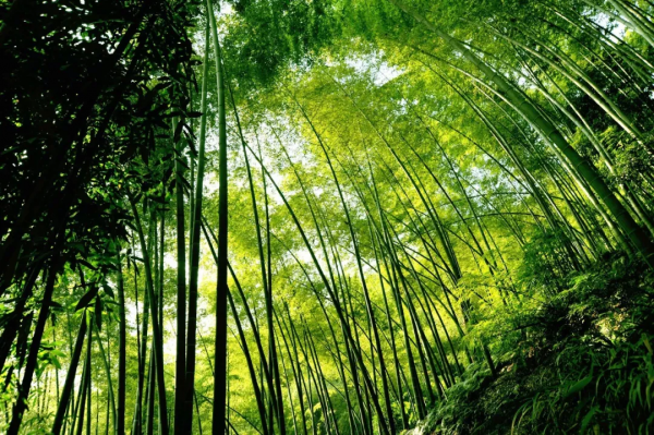 這些小眾旅行地，我每個都想去。你呢？